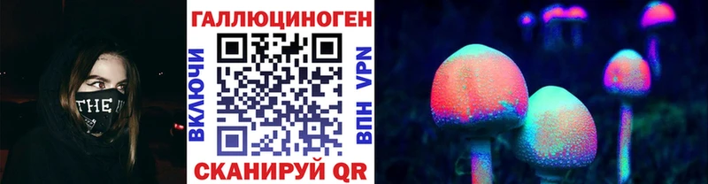 Псилоцибиновые грибы Psilocybine cubensis Бабаево